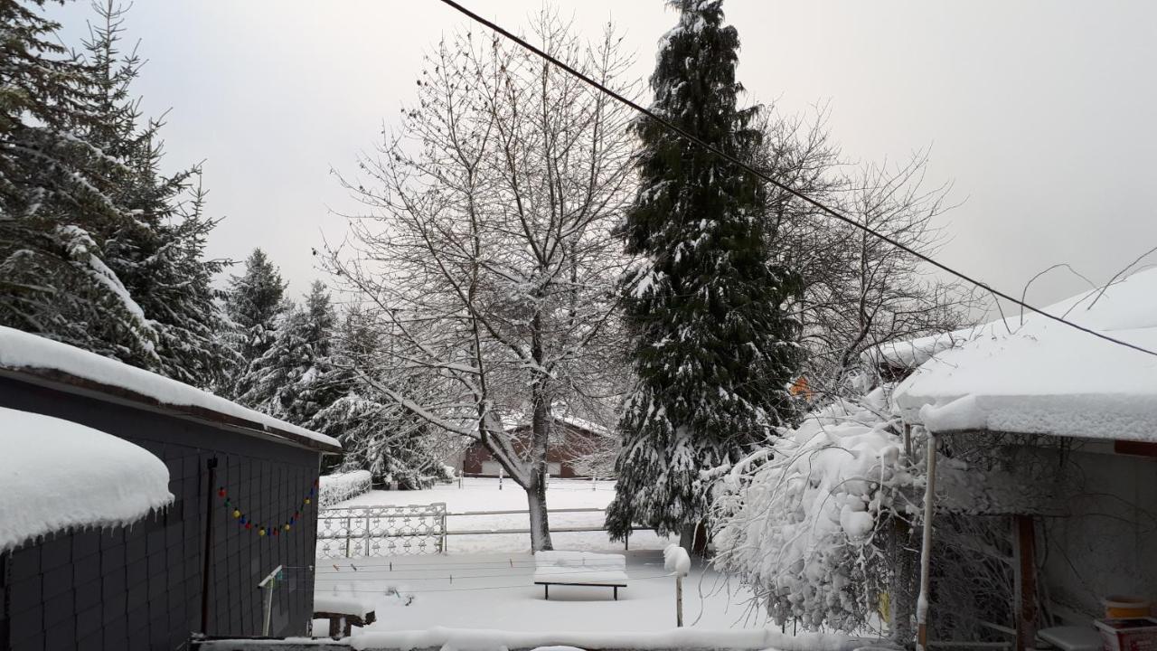 Ferienwohnungen! Kleine Bungalows Mit Terrasse! Stockhausen-Illfurth Esterno foto